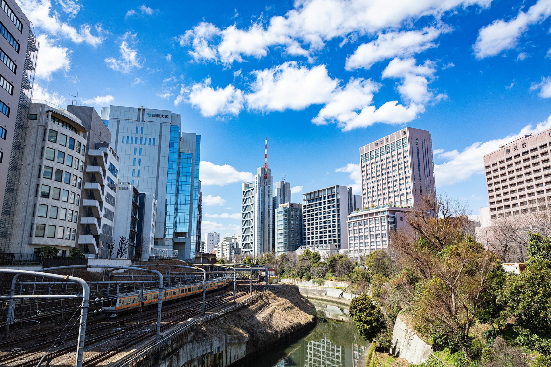 多言語サポート